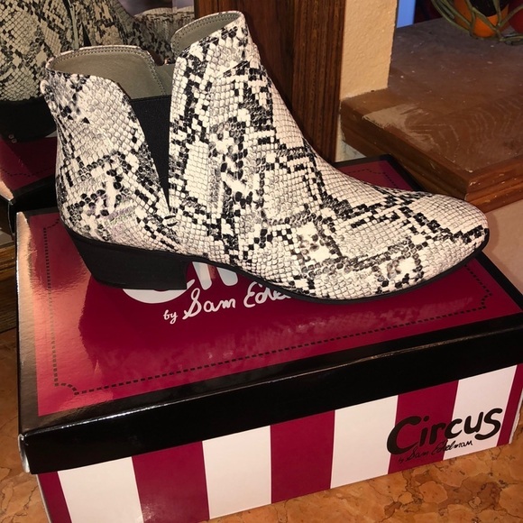 Circus by Sam Edelman Shoes - Circus Sam Edelman Pipper Ivory Snake print Boots